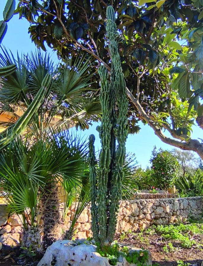 Villa Sargheruoli Monteroni di Lecce Exterior foto